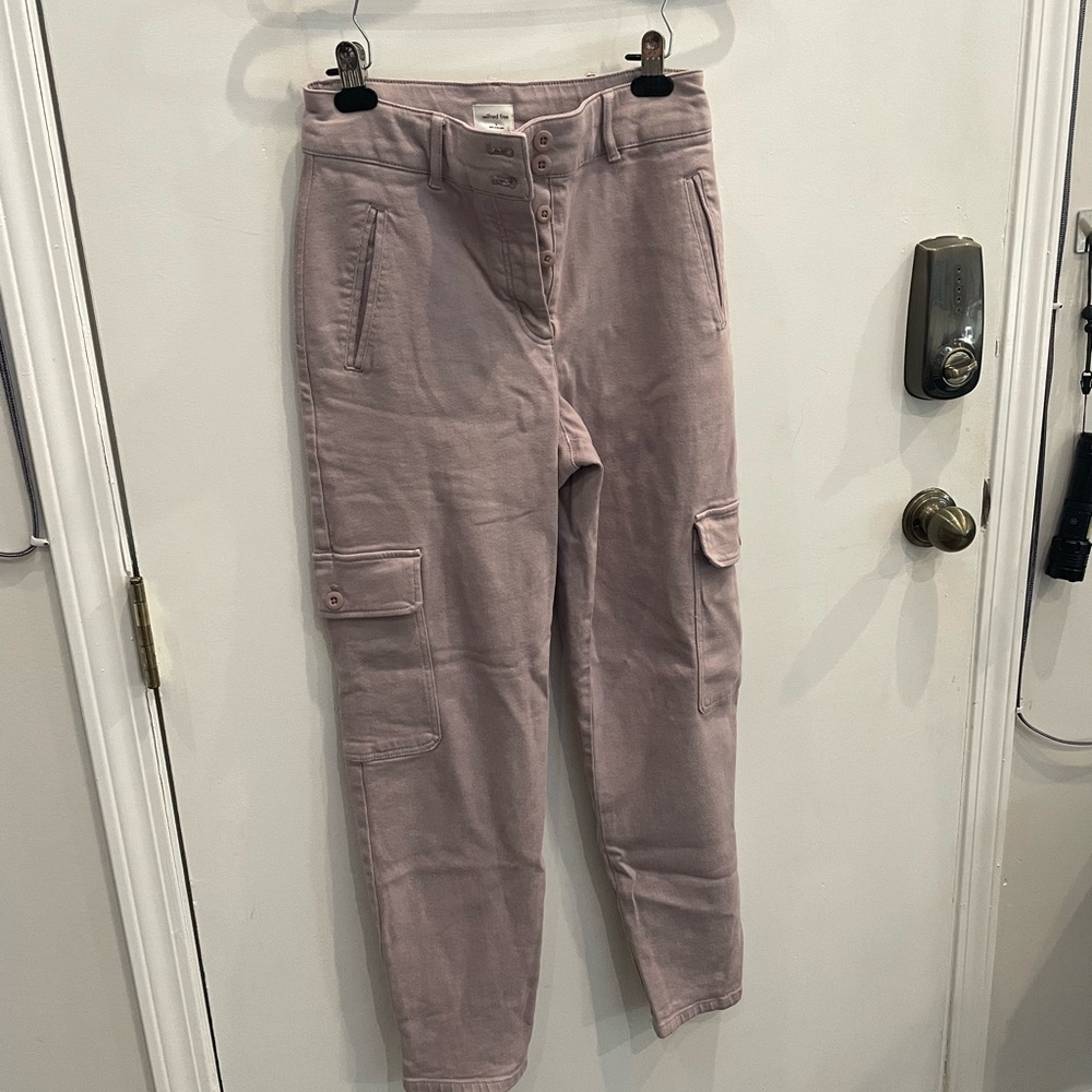 Aritzia Wilfred Free Modern Cargo Pant in Purple Slate